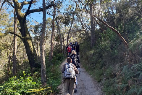 Mount Lofty Hike And Cleland Wildlife Park Day Trip From Adelaide - Accommodation Adelaide 3