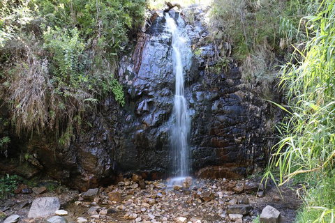 Mount Lofty Hike And Cleland Wildlife Park Day Trip From Adelaide - Accommodation Adelaide 4