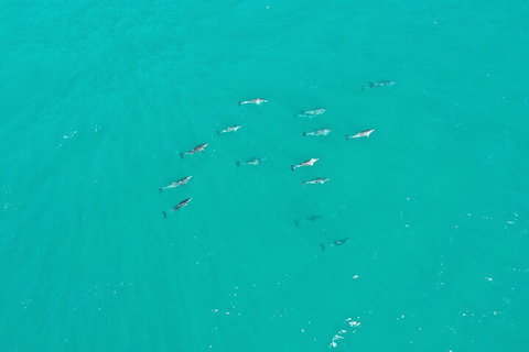 Port Macquarie Hastings Explorer - 30 Min VIP Private Flight - Accommodation Adelaide 4