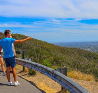 Private Tour Mornington Peninsula Family Maze and Fun - Accommodation Adelaide