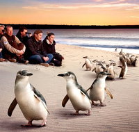 Private Tour Penguin Parade Phillip Island Tour. - Accommodation Adelaide