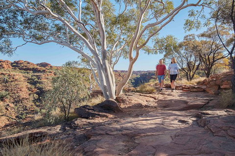 3-Day Tour From Uluru (Ayers Rock) To Alice Springs Via Kings Canyon - Accommodation Adelaide 1