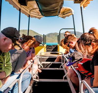 Airlie Beach Glass Bottom Boat Tour - Accommodation Adelaide