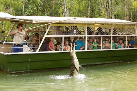 Hartley's Crocodile Adventure Half-Day Tour - Accommodation Adelaide 0