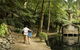 Discover Tour: Dandenong Ranges & William Ricketts Sanctuary - thumb 0
