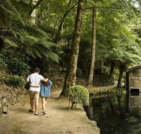 Discover Tour Dandenong Ranges  William Ricketts Sanctuary - Accommodation Adelaide