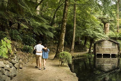 Discover Tour: Dandenong Ranges & William Ricketts Sanctuary - Accommodation Adelaide 0