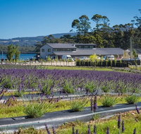 Private Hobart Discover South East Food and Scenic Tour - Accommodation Adelaide