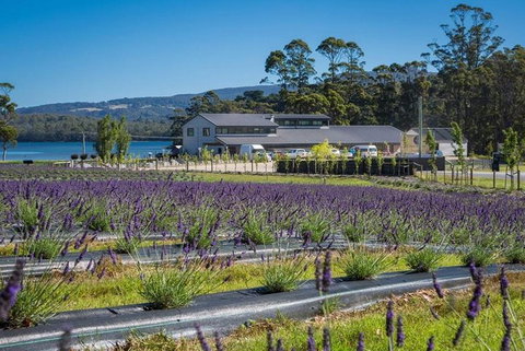 Private Hobart Discover South East Food And Scenic Tour - Accommodation Adelaide 0