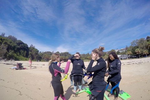 Manly And Shelly Beach Snorkeling Tour - Accommodation Adelaide 5