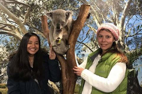 Australia Multi-City Attractions Pass - Accommodation Adelaide 3