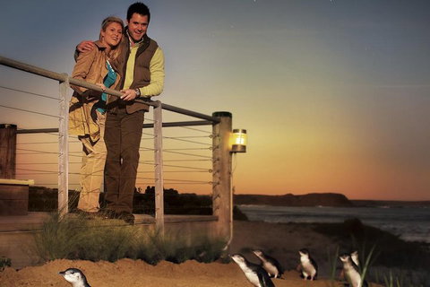 The Ultimate Melbourne Attractions Pass - Accommodation Adelaide 3