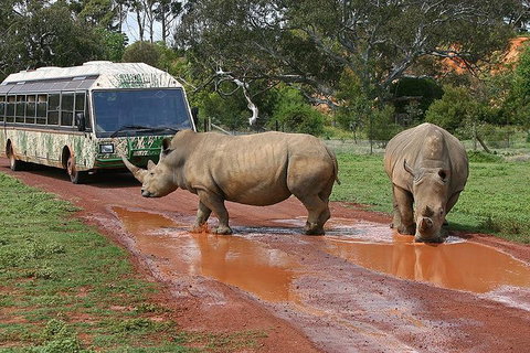 The Ultimate Melbourne Attractions Pass - Accommodation Adelaide 4
