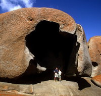 Full-Day Kangaroo Island Safari from Penneshaw - Accommodation Adelaide