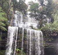 6-Day Hearty Tasmania Tour Tasmania in a Circle - Accommodation Adelaide