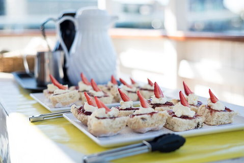 90min Brisbane River Cruise/Tour - Accommodation Adelaide 0
