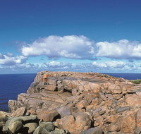 4 Day Tour Albany Margaret River Valley of the Giants TreeTop Walk from Perth - Accommodation Adelaide