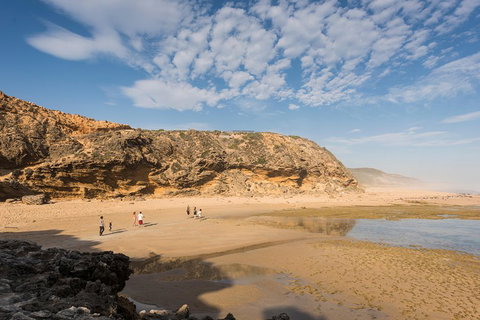 Mornington Peninsula Small Group Day Tour - Accommodation Adelaide 5