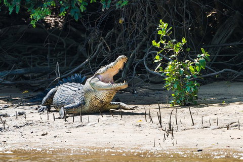 Full Day Cooktown Private Tour - Accommodation Adelaide 4