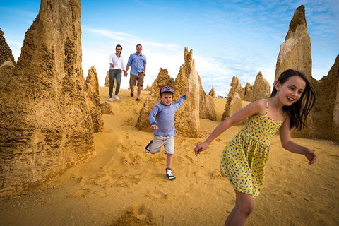 Full-Day Pinnacles Desert And Yanchep National Park Tour From Perth - Accommodation Adelaide 0