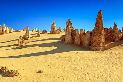 Full-Day Pinnacles Desert And Yanchep National Park Tour From Perth - Accommodation Adelaide 2