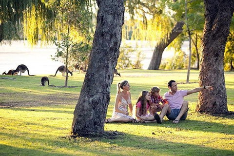 Full-Day Pinnacles Desert And Yanchep National Park Tour From Perth - Accommodation Adelaide 3