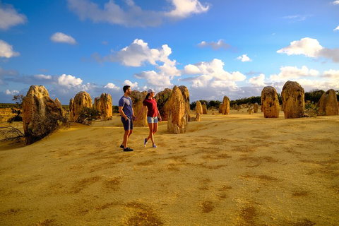Full-Day Pinnacles Desert And Yanchep National Park Tour From Perth - Accommodation Adelaide 4