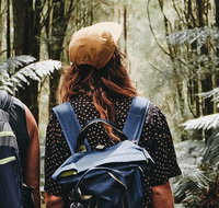 Small Group - Yarra Valley  Dandenong Ranges Hike from Melbourne - Accommodation Adelaide