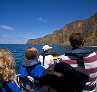 Seal Island Boat Tour from Victor Harbor - Accommodation Adelaide