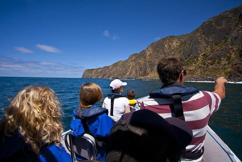 Seal Island Boat Tour From Victor Harbor - Accommodation Adelaide 0