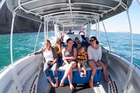 Seal Island Boat Tour From Victor Harbor - Accommodation Adelaide 1