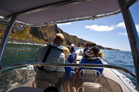 Seal Island Boat Tour From Victor Harbor - Accommodation Adelaide 2