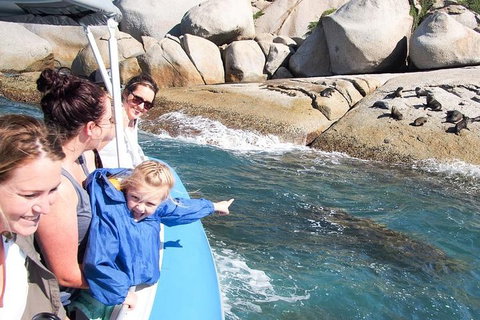 Seal Island Boat Tour From Victor Harbor - Accommodation Adelaide 4