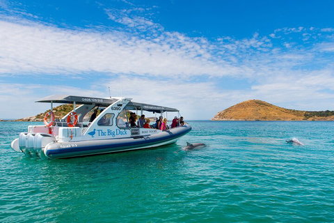 Southern Ocean Adventure From Victor Harbor - Accommodation Adelaide 1