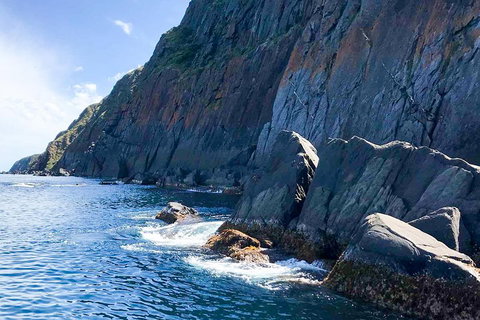 Southern Ocean Adventure From Victor Harbor - Accommodation Adelaide 3