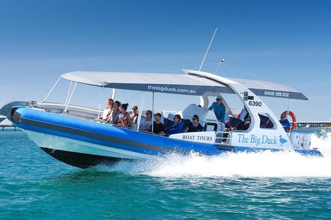 Southern Ocean Adventure From Victor Harbor - Accommodation Adelaide 5