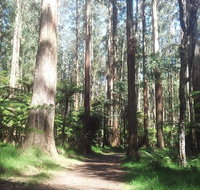 Dandenong Ranges Private Tour Including William Ricketts Sanctuary - Accommodation Adelaide
