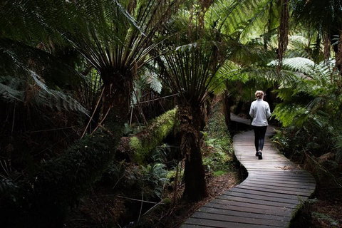 Private Tour Of Melbourne - Accommodation Adelaide 2