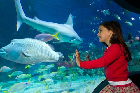 Melbourne BIG Ticket - LEGOLAND Discovery And SEA LIFE Melbourne - Accommodation Adelaide 1