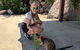 Magnetic Island Tour: Maggie Comprehensive - thumb 2
