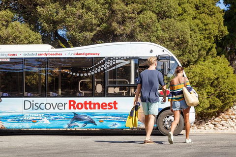Discover Rottnest With Ferry & Bus Tour From Perth Or Fremantle - Accommodation Adelaide 1