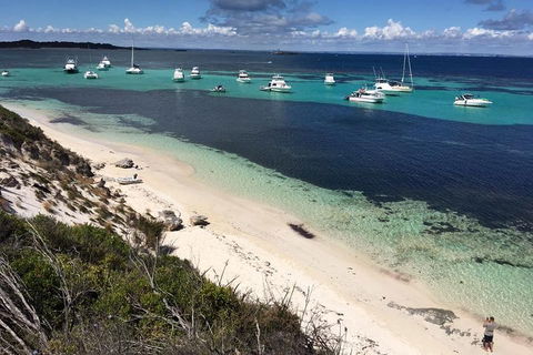Experience Rottnest With Ferry & Bike Hire From Perth Or Fremantle - Accommodation Adelaide 0