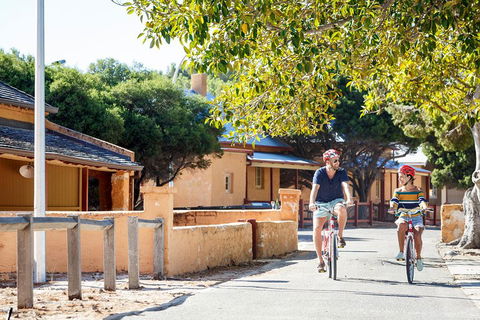 Experience Rottnest With Ferry & Bike Hire From Perth Or Fremantle - Accommodation Adelaide 1