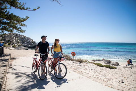 Experience Rottnest With Ferry & Bike Hire From Perth Or Fremantle - Accommodation Adelaide 4