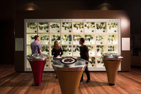 Australian Wine Discovery Tour Ticket - Accommodation Adelaide 3