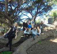 1/2 day Swan Valley Wine Cheese  Chocolate Tour Inc Afternoon Cruise to Perth - Accommodation Adelaide