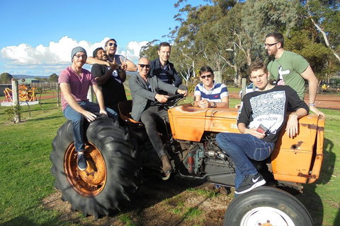 1/2 Day Swan Valley Wine Cheese & Chocolate Tour Inc Afternoon Cruise To Perth - Accommodation Adelaide 1