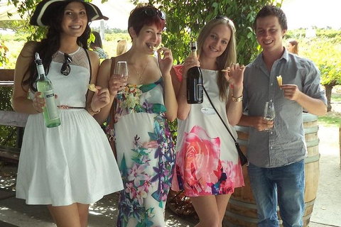1/2 Day Swan Valley Wine Cheese & Chocolate Tour Inc Afternoon Cruise To Perth - Accommodation Adelaide 4