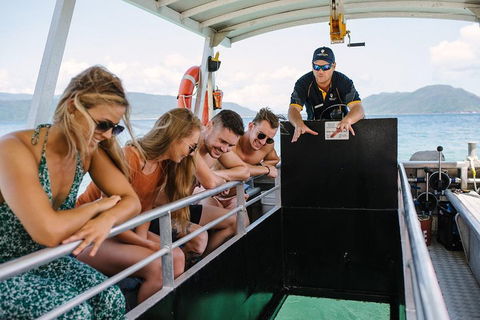 Fitzroy Island Day Trip From Cairns - Accommodation Adelaide 4