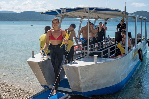 Fitzroy Island Day Trip From Cairns - Accommodation Adelaide 5